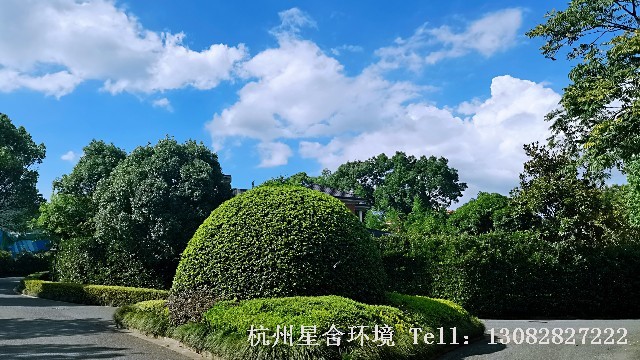 小区绿化养护