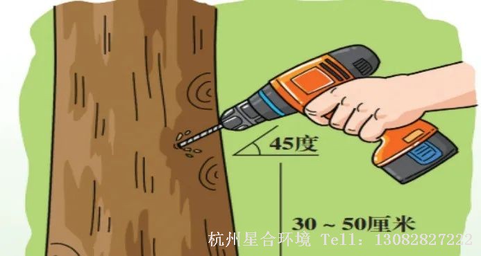 绿化养护