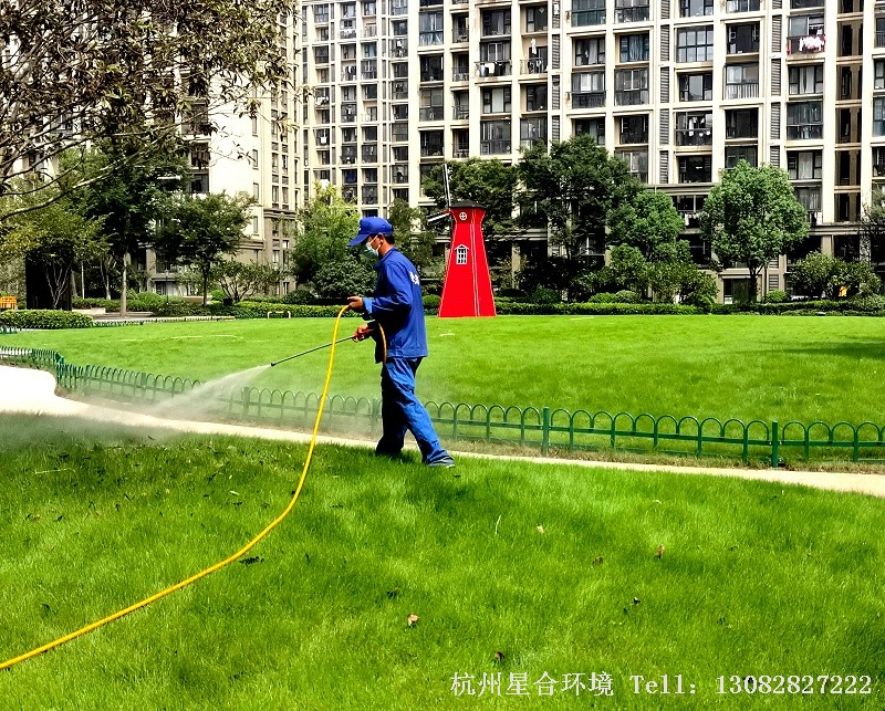 绿化养护打药