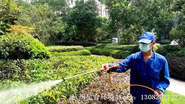 打药消杀