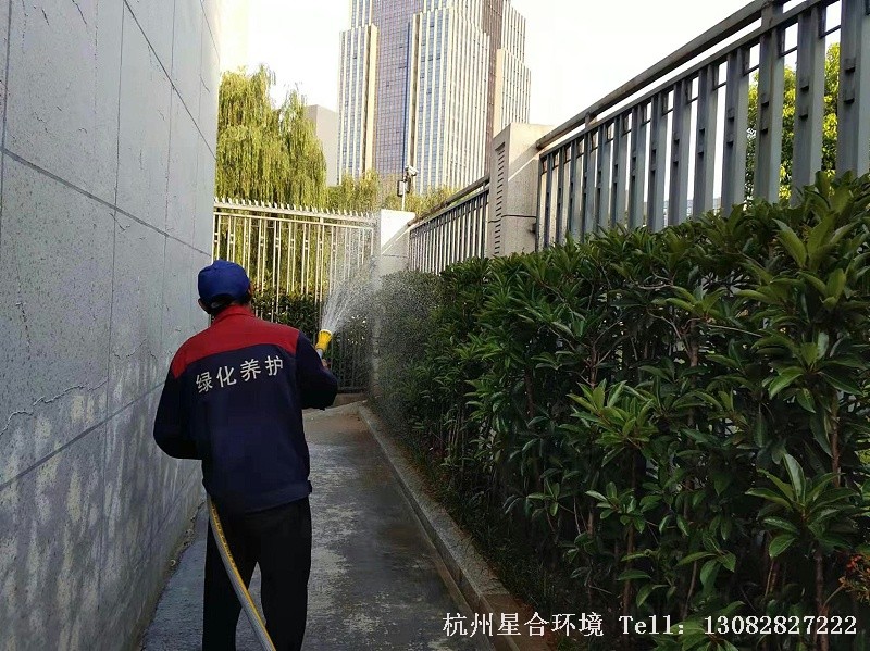 打药消杀