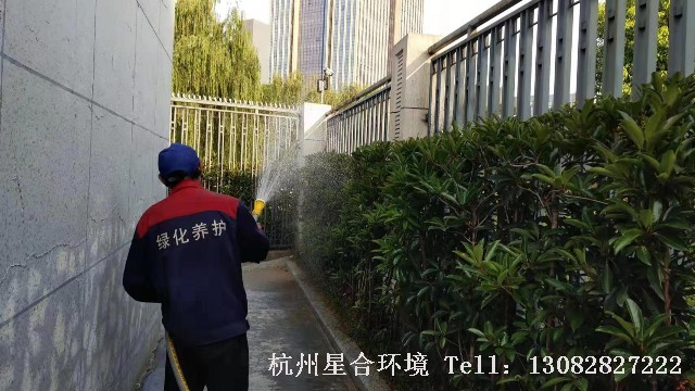 打药消杀