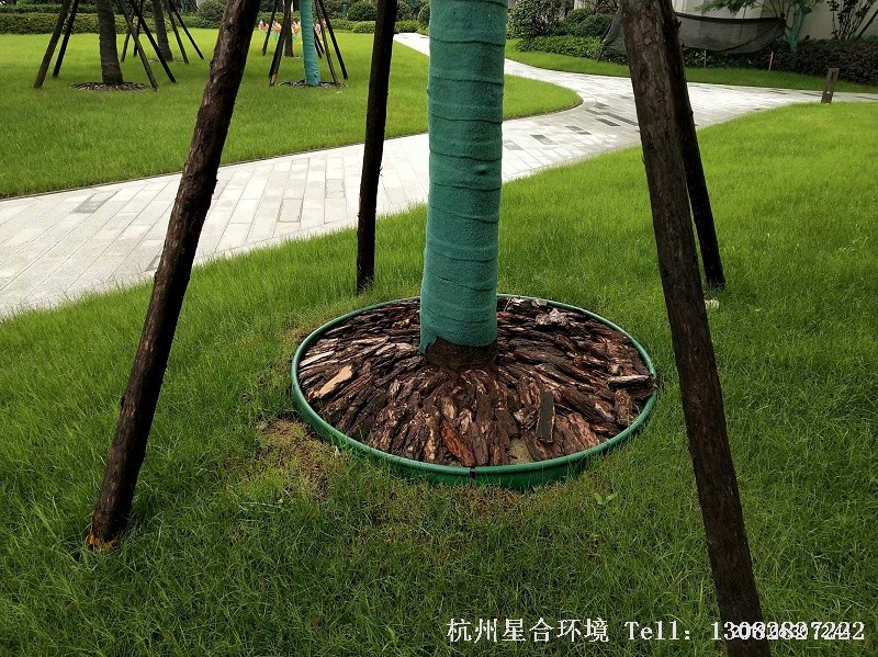 绿化工程