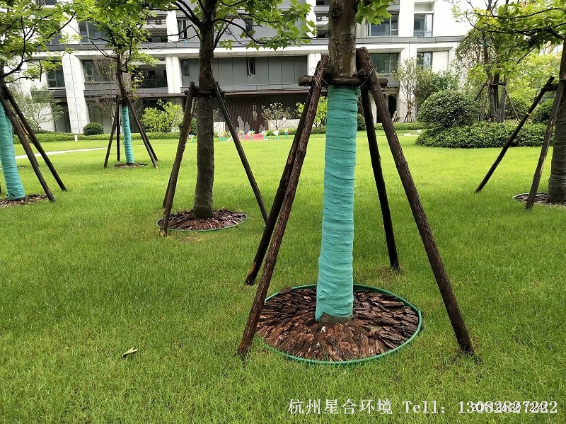 绿化工程