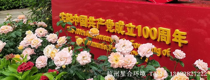 小区花境