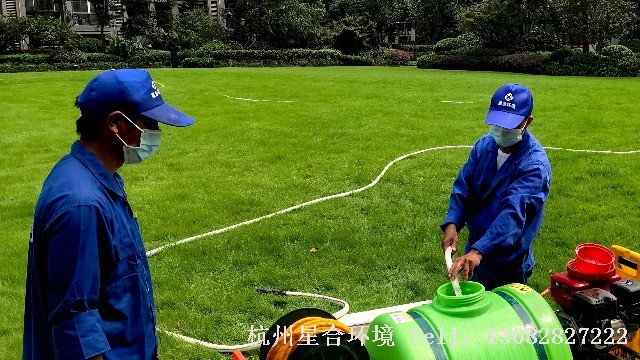 打药消杀