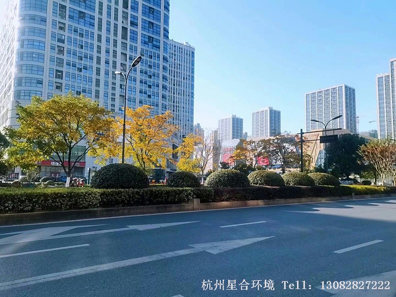 道路绿化养护2