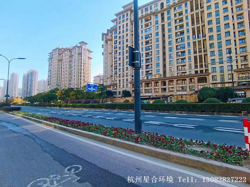 道路绿化养护3