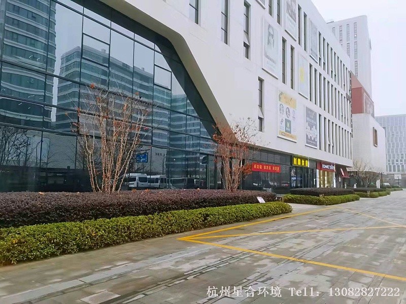 厂区绿化养护3
