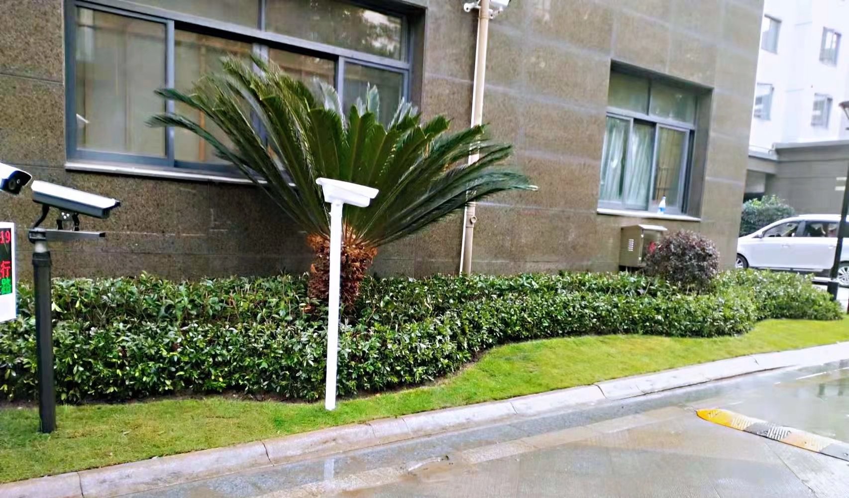 小区绿化工程-信步闲庭小区绿化工程案例