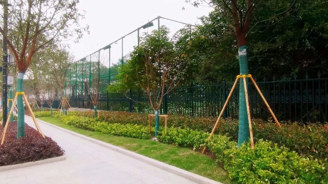 市政绿化工程-市政绿化工程中乔木该怎么安装支撑呢?