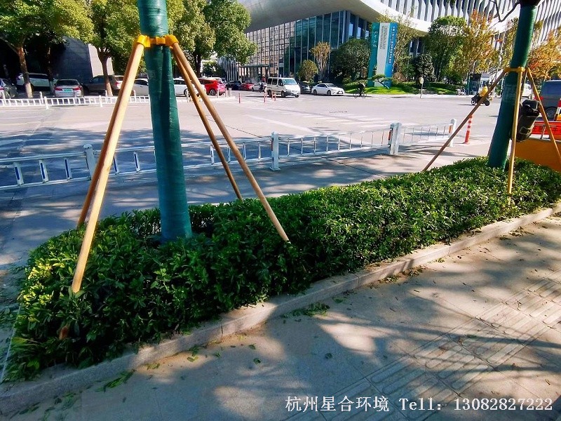 市政绿化工程2