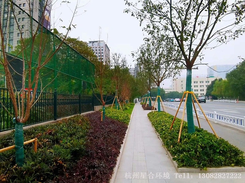 市政绿化工程3