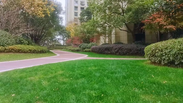 绿化养护-影响暖季型草坪绿期的因素有哪些?