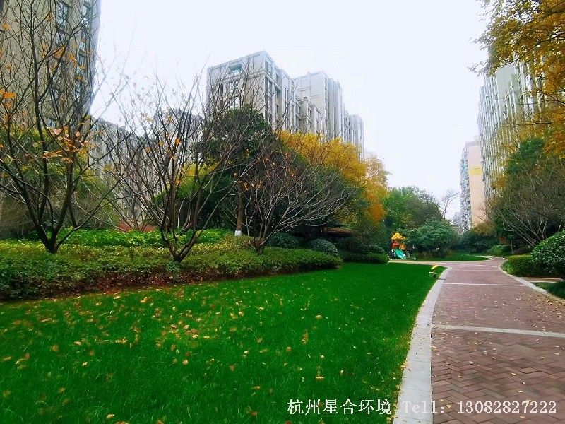 绿化养护1