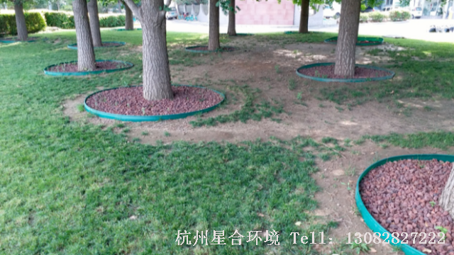 草坪养护-草坪养护中树荫下草坪斑秃退化该如何管养？