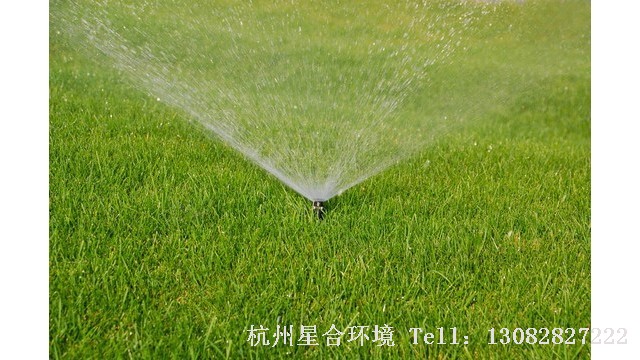 草坪养护