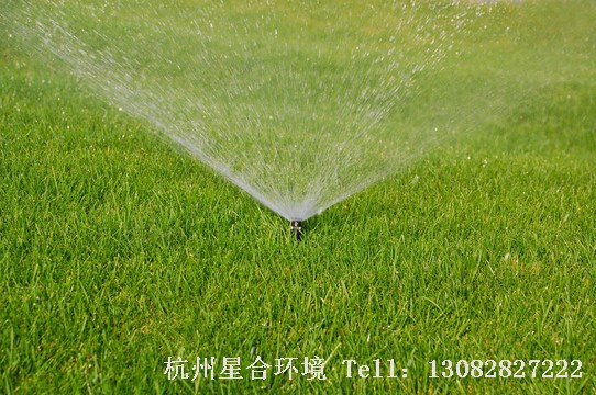 草坪养护喷灌