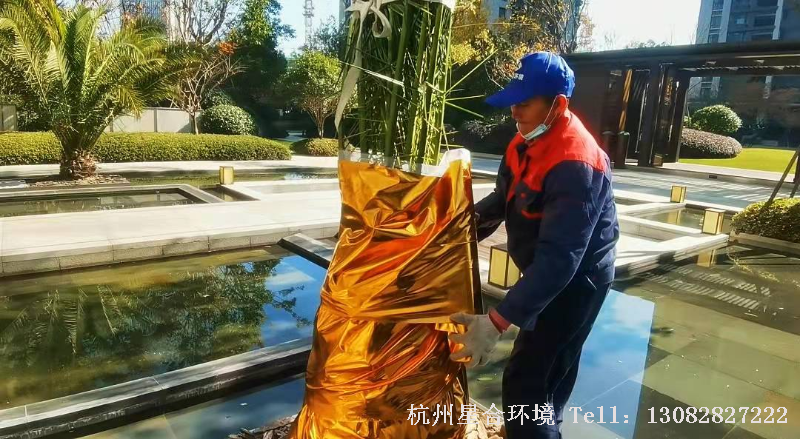 绿化养护1