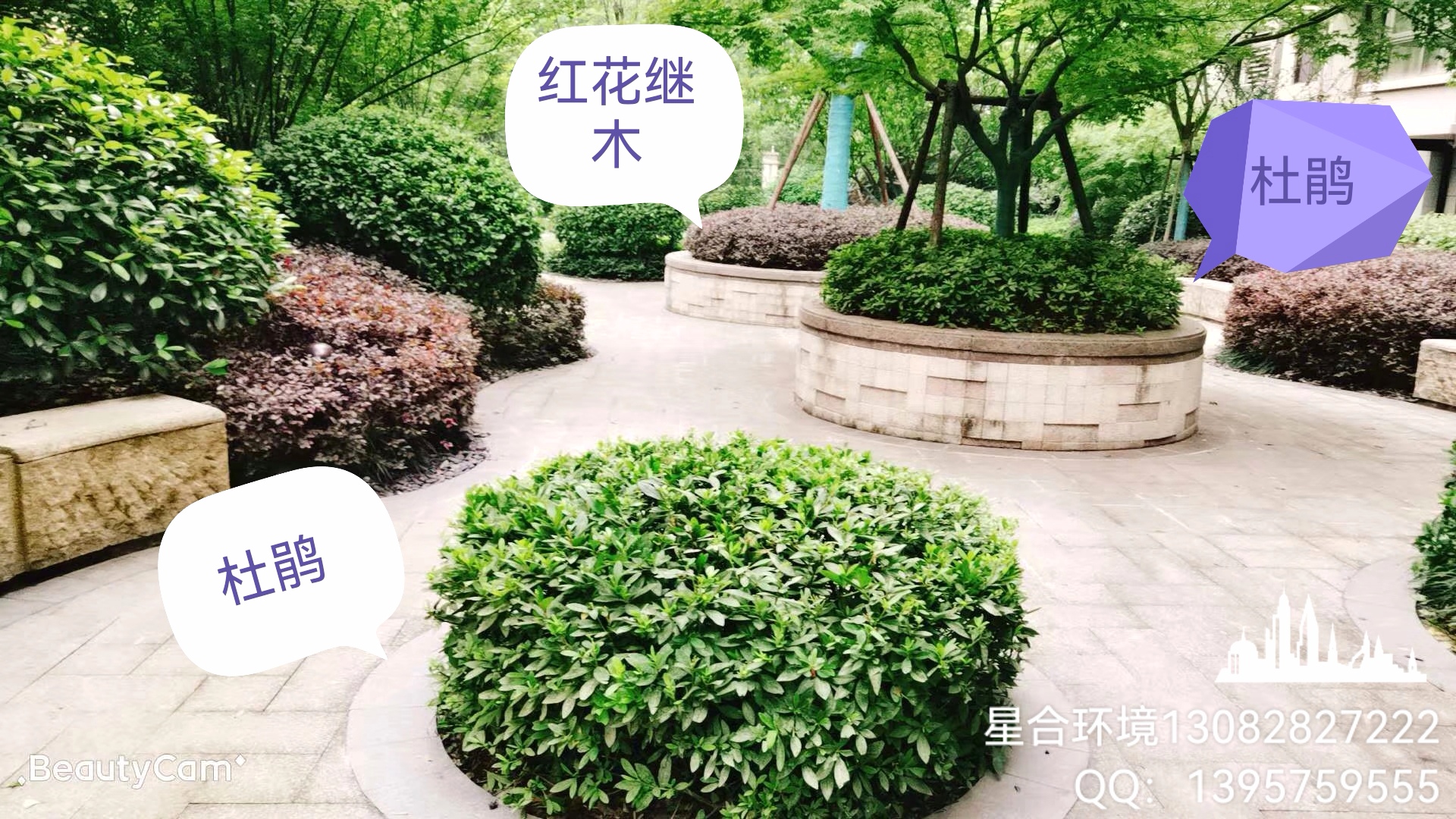 绿化工程