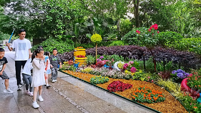 小品花境工程-阳光城翡丽湾六一儿童节主题小品花境工程