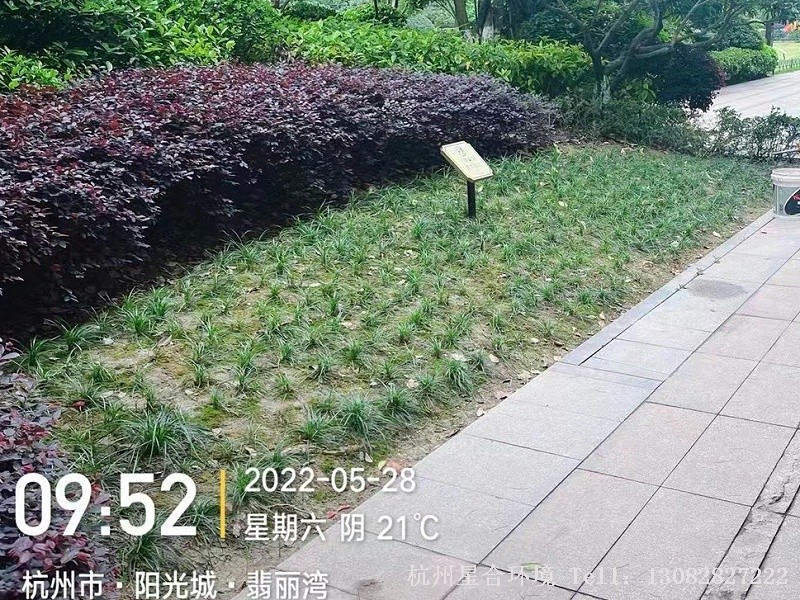 小品花境工程改造前概况