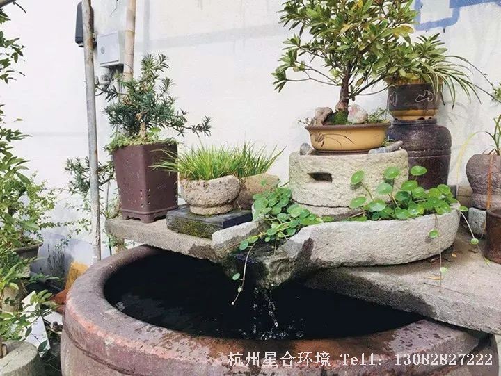 做几道私家花园小院栽种的蔬菜， 品几盏自酿的果酒