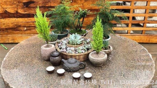 私家花园