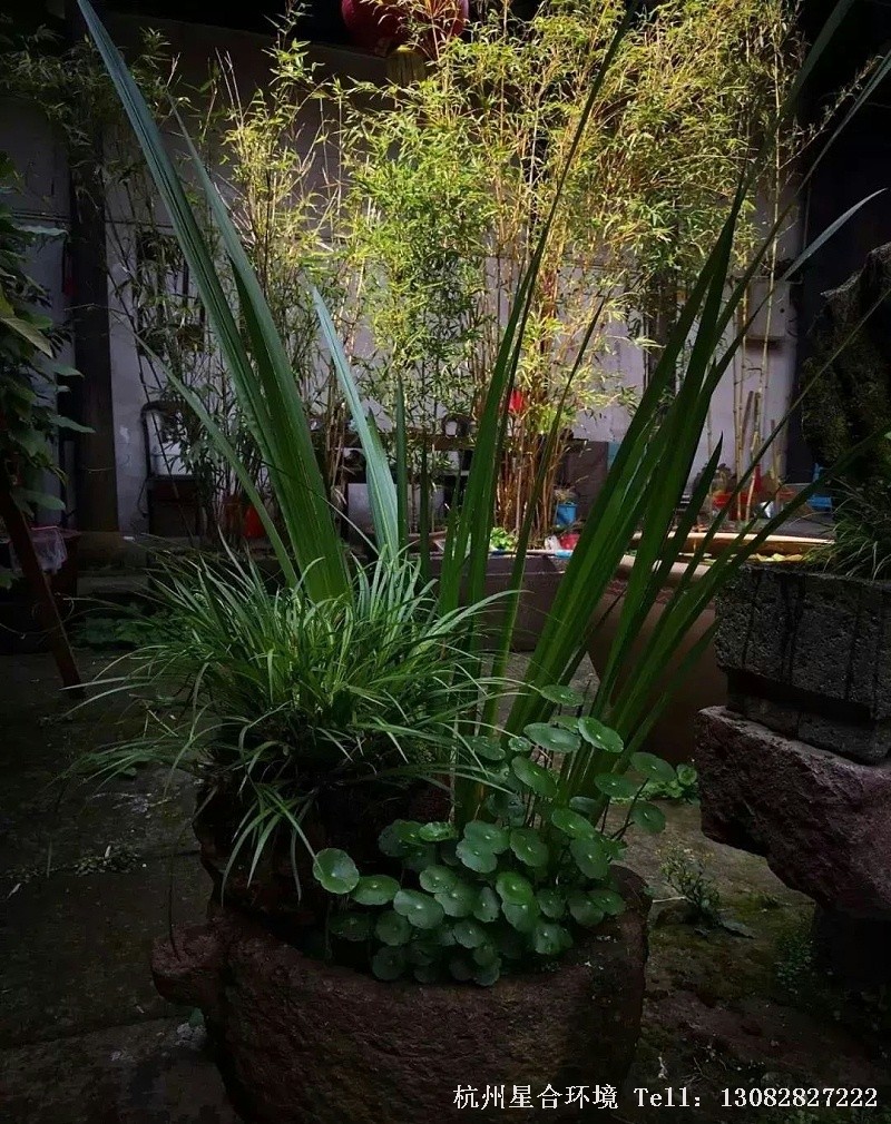 在私家花园的院子里摆上些石器， 也为私家花园庭院增添几分古雅沉稳的韵味