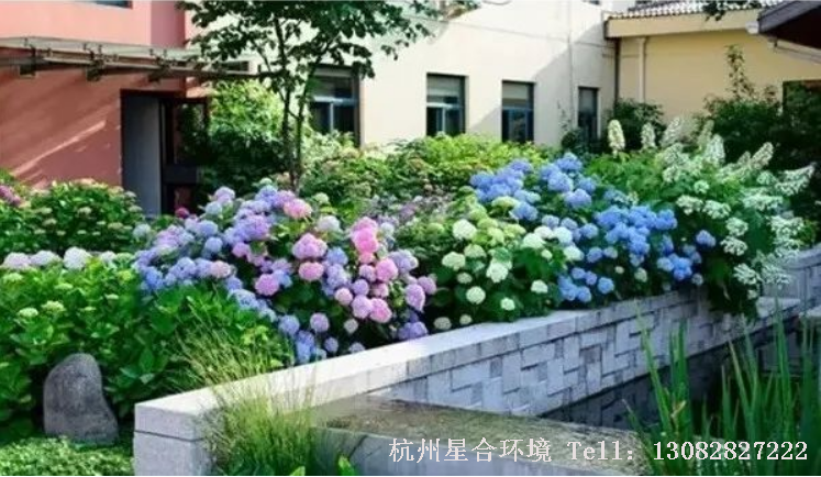 花园设计