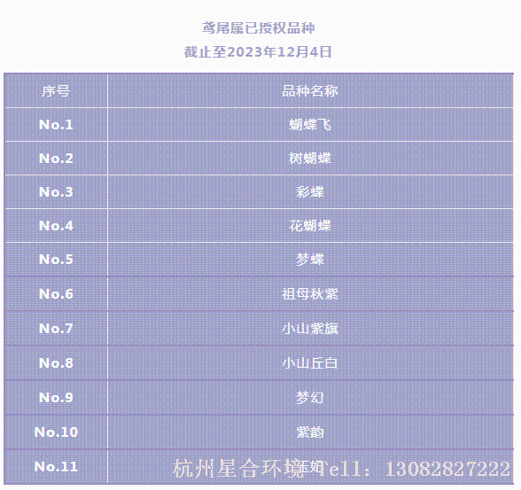 绿化养护