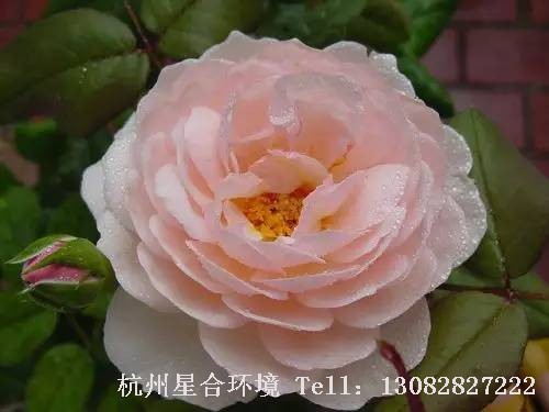 微信图片_20230511180709