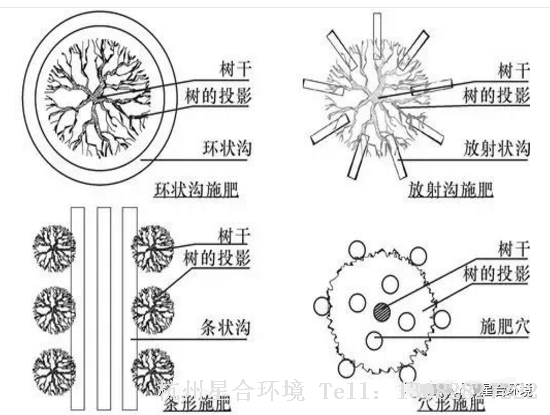 杭州绿化养护