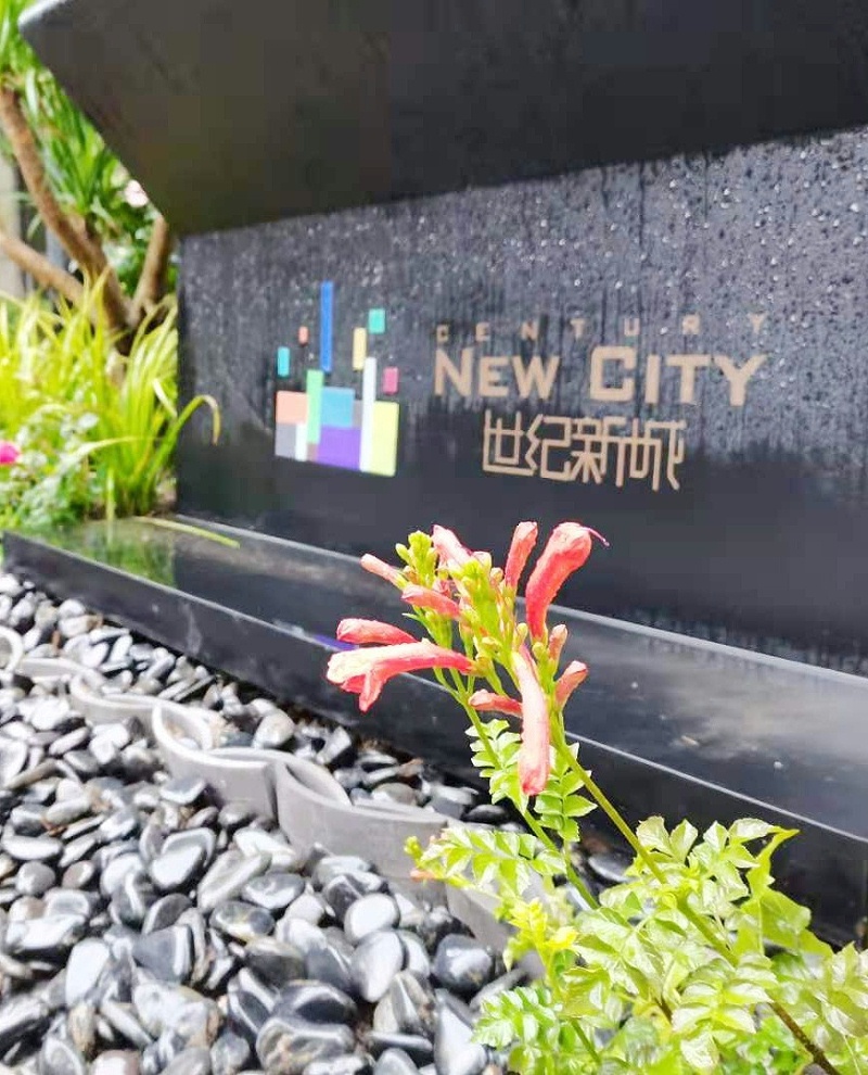 微信图片_20201124174051_看图王(1)