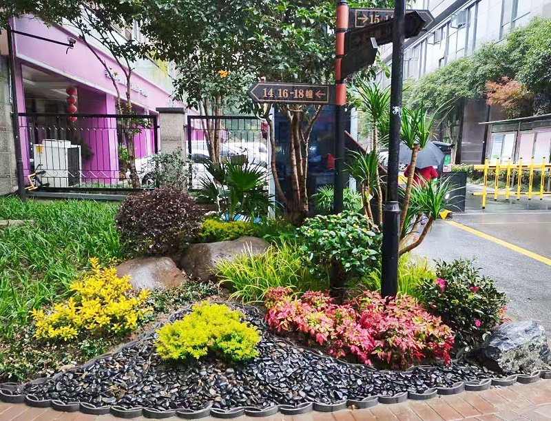 微信图片_20201124174247