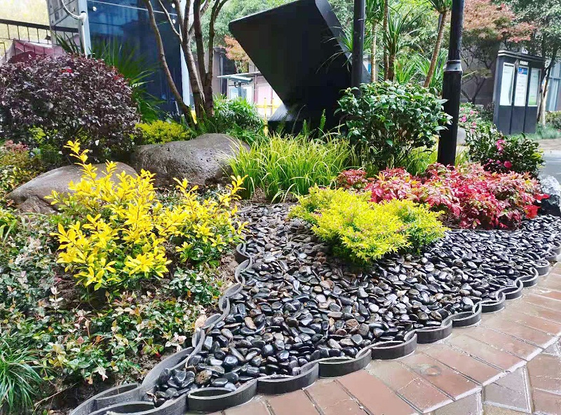 微信图片_20201124174257