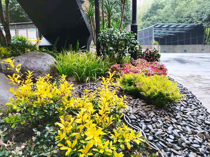 微信图片_20201124174301