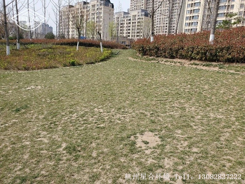 绿化工程
