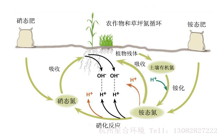 绿化工程