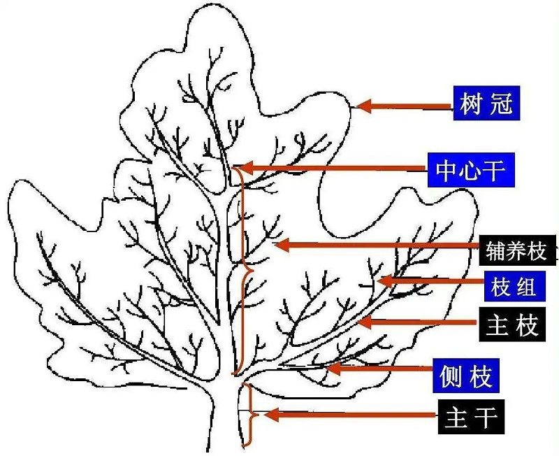 公园养护