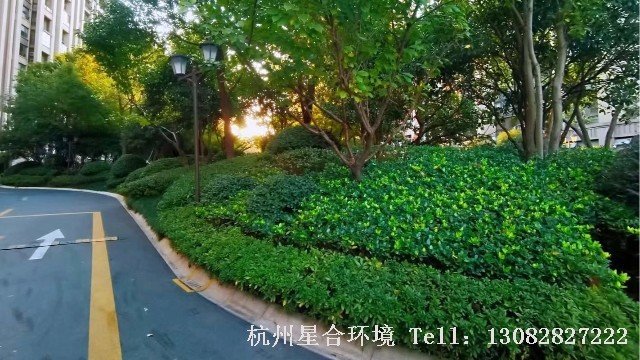 小区绿化养护