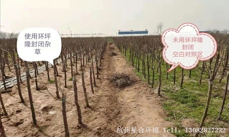 小区养护