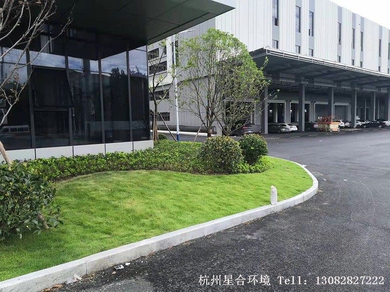 厂区绿化工程验收工作
