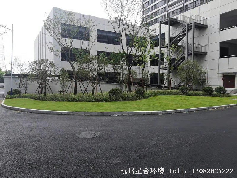 厂区绿化工程管理工作