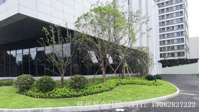 杭州顾家一期厂区绿化工程验收工作正在有序进行着