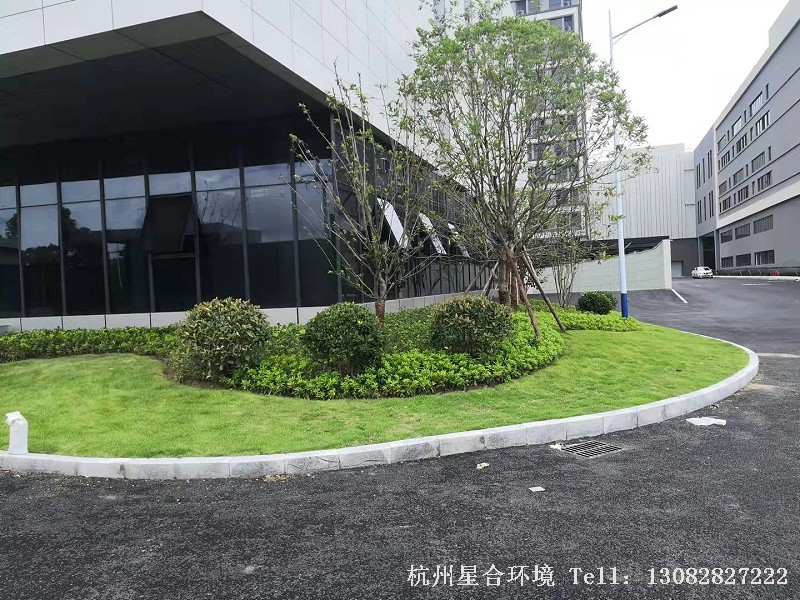 厂区绿化工程的施工
