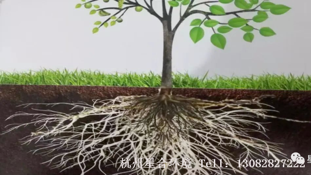 河道养护