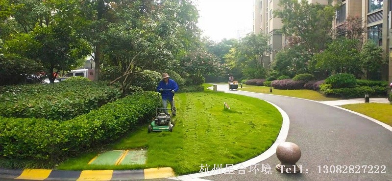 绿化养护