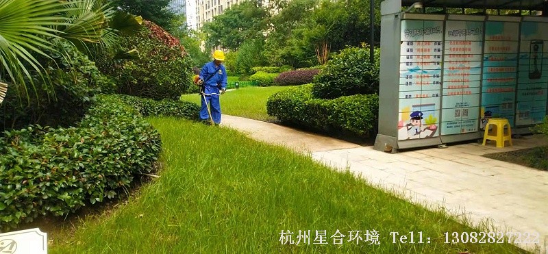 绿化养护