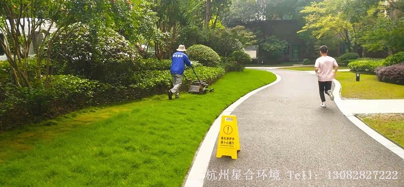 绿化养护